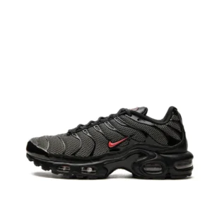 AIR MAX PLUS GS 'BRED'
